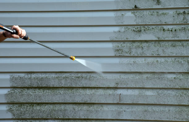 Best Mold Damage Repair  in North Puyallup, WA