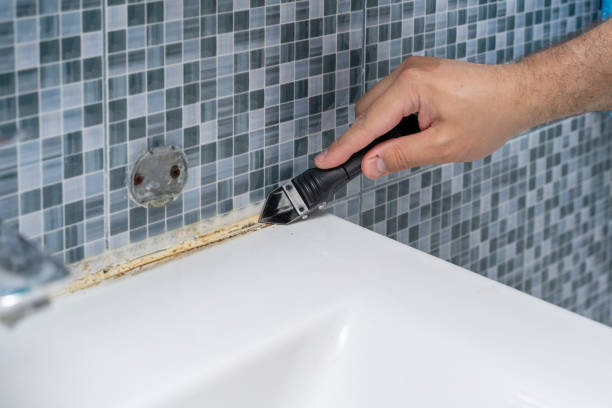  North Puyallup, WA Mold Removal Pros