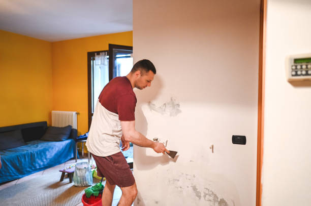 Best Residential Mold Removal  in North Puyallup, WA